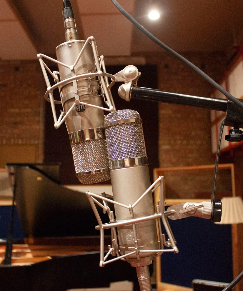 Warm Audio WA-47 on the left and Peluso 22 47 LEon the right