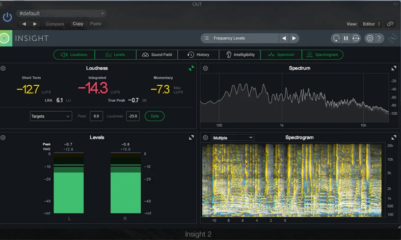 iZotope Insight 2 Spectrogram