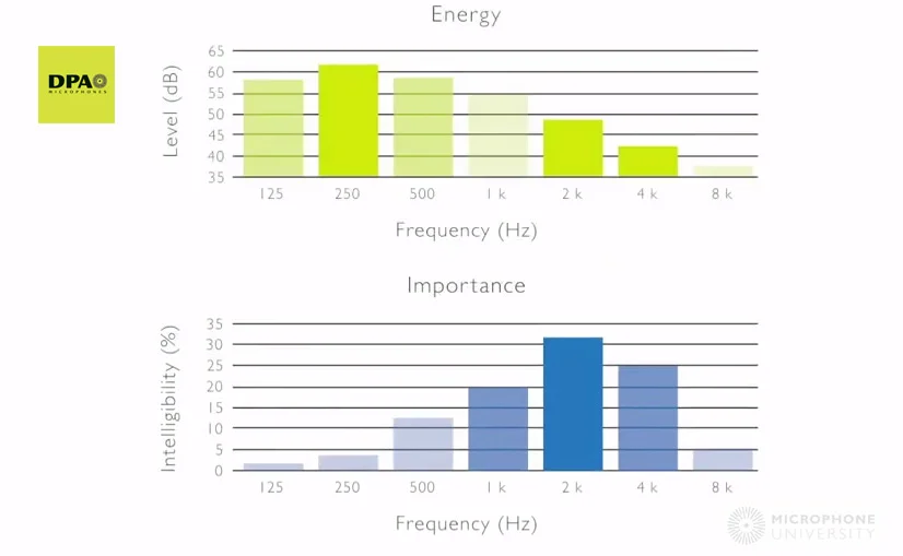 Image courtesy of the DPA Microphone University