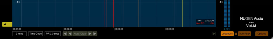 The small Flags text box in VisLM v2.8.3 from Nugen Audio