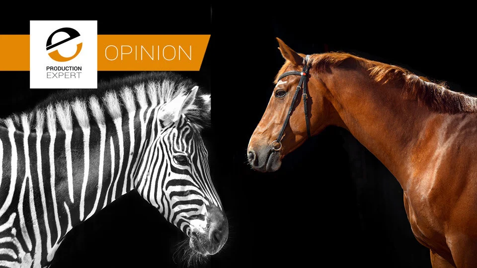When Recording Are You Confusing Horses For Zebras? Why We Should Keep