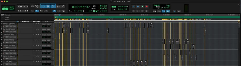 ADR Cueing Made Easy With The FREE PG PT Session Software | Pro Tools ...