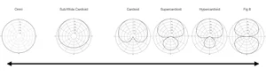 Microphone Polar Patterns And Why They Matter | Production Expert