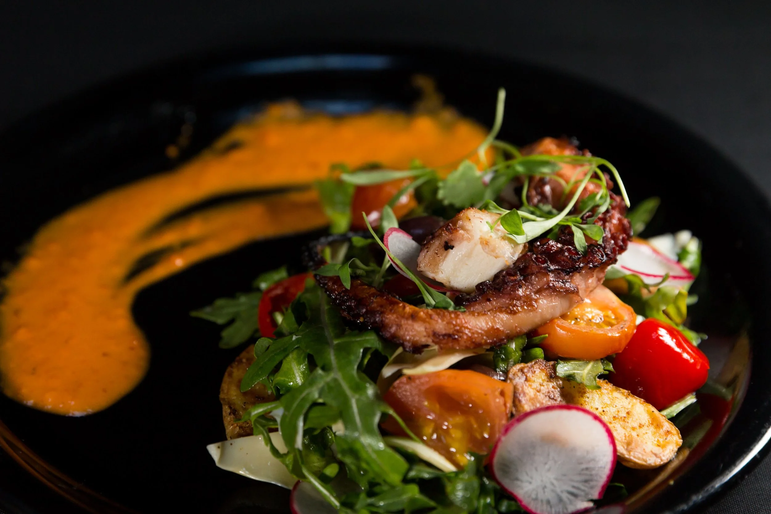 Grilled Octopus Braised in red wine on a mediterranean salad