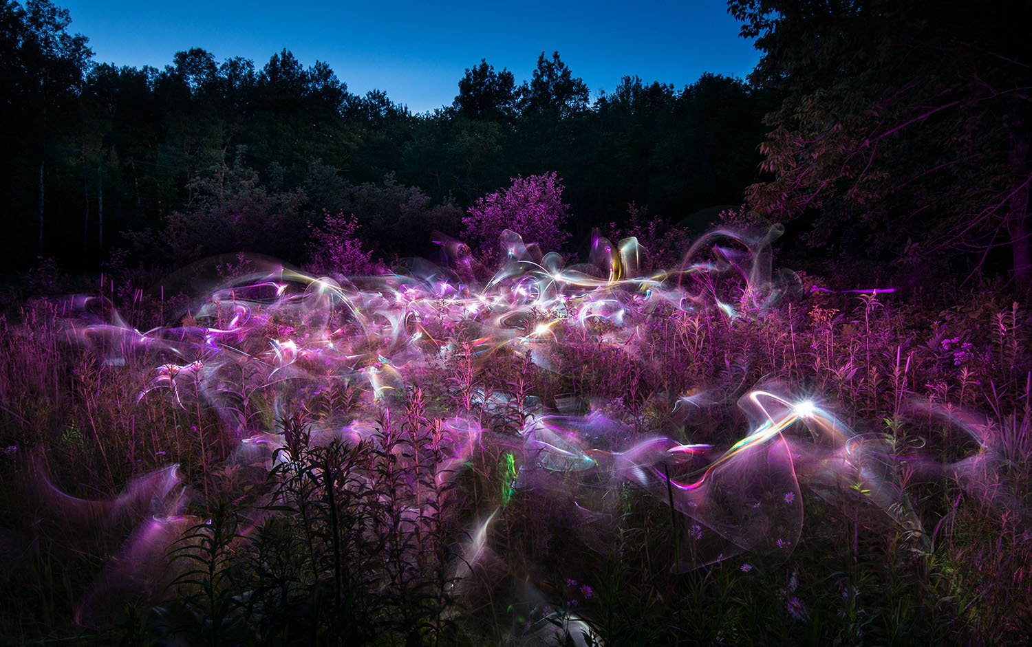 Sacred_Garden_Patrick-Rochon_0348.jpg