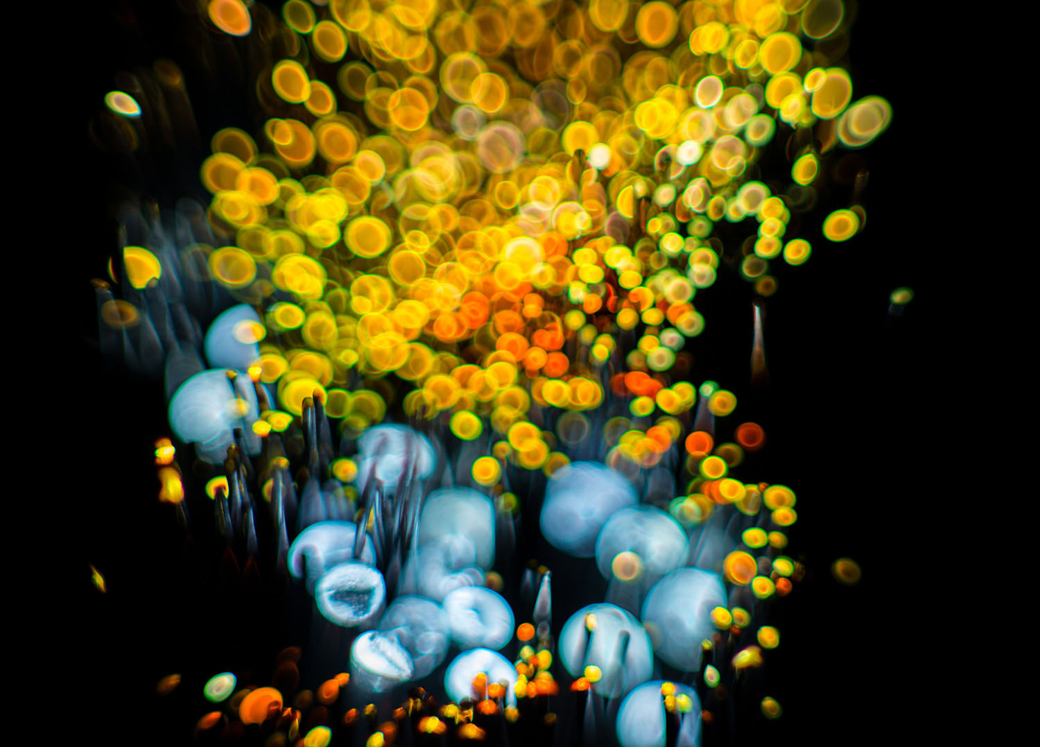 Capturing_Luminous_Thoughts_Patrick_Rochon_2036.jpg