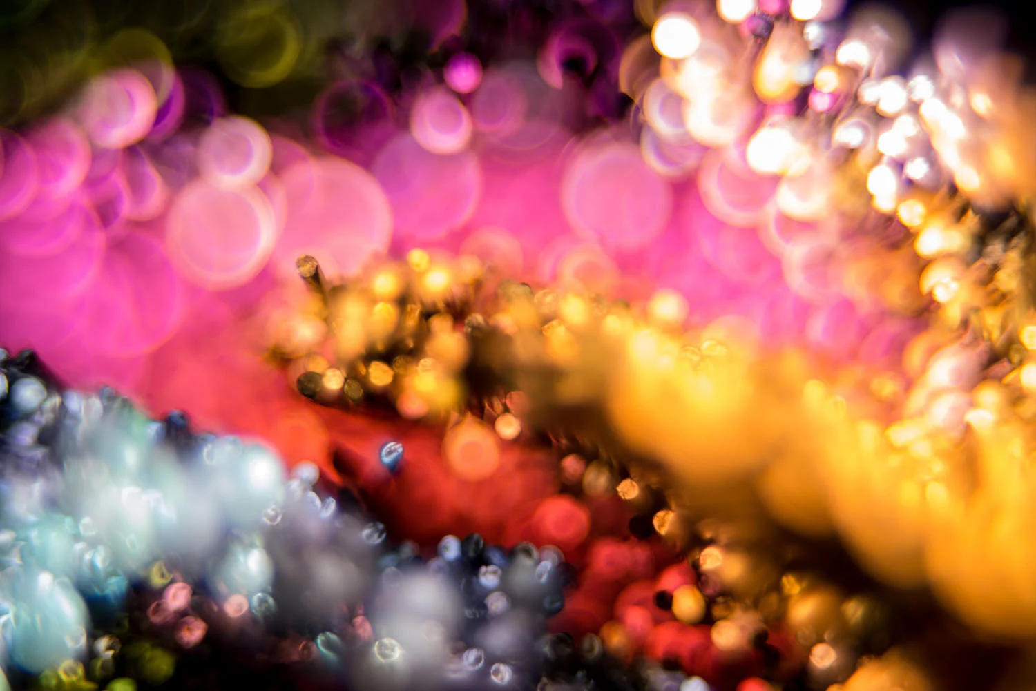 Capturing_Luminous_Thoughts_Patrick_Rochon_0734.jpg