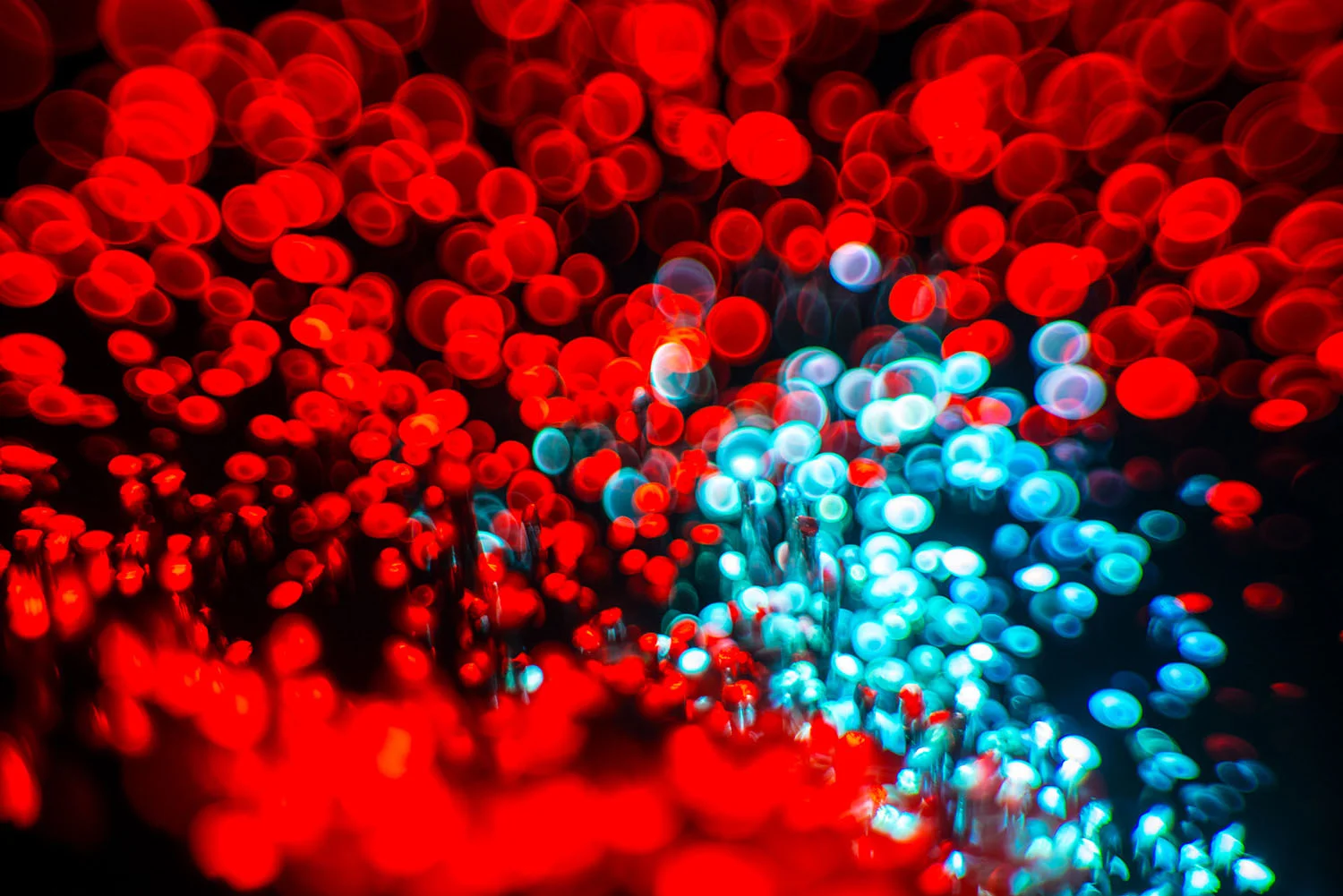Capturing_Luminous_Thoughts_Patrick_Rochon_1008.jpg