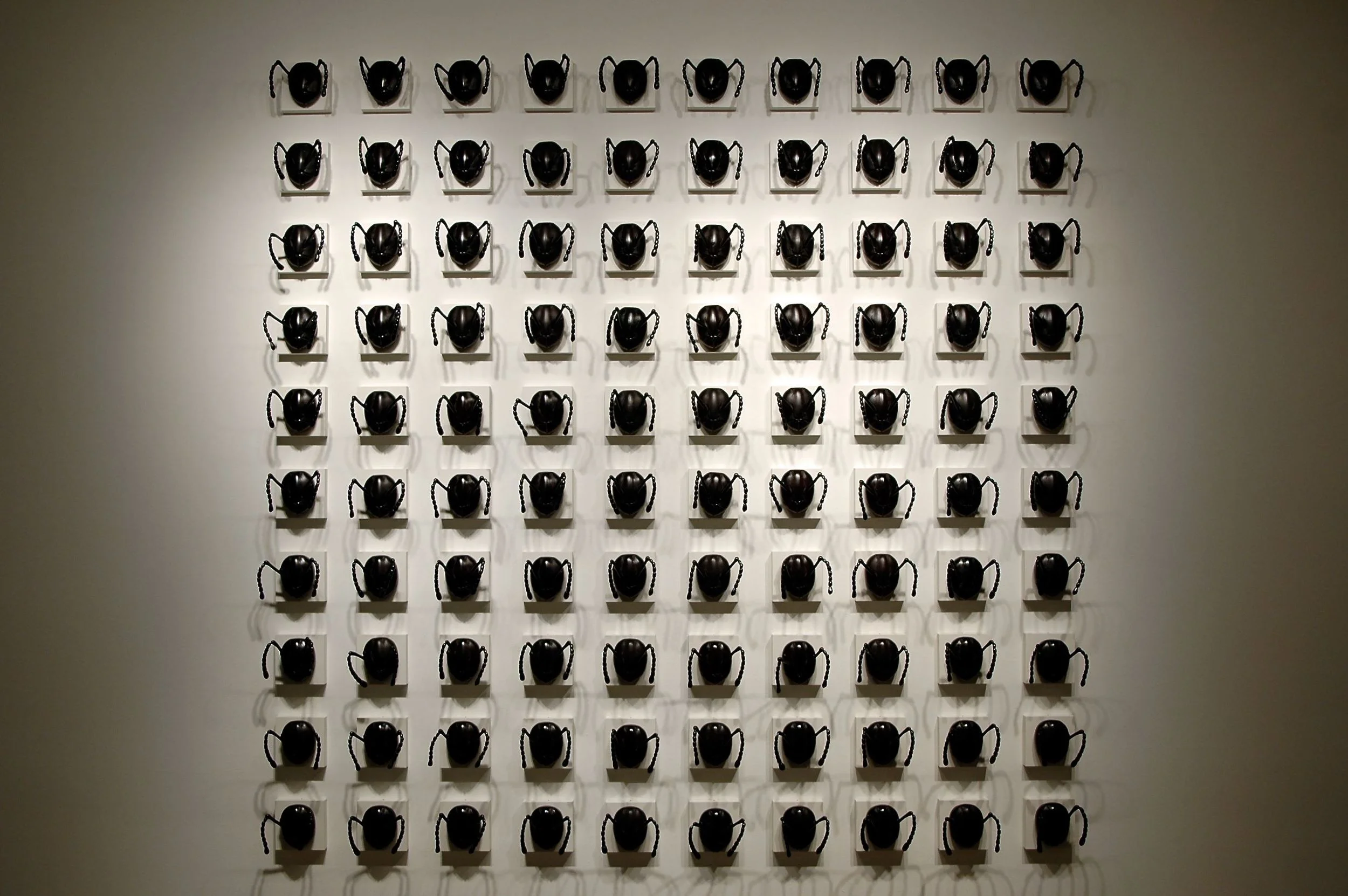 DSC_0493.jpg