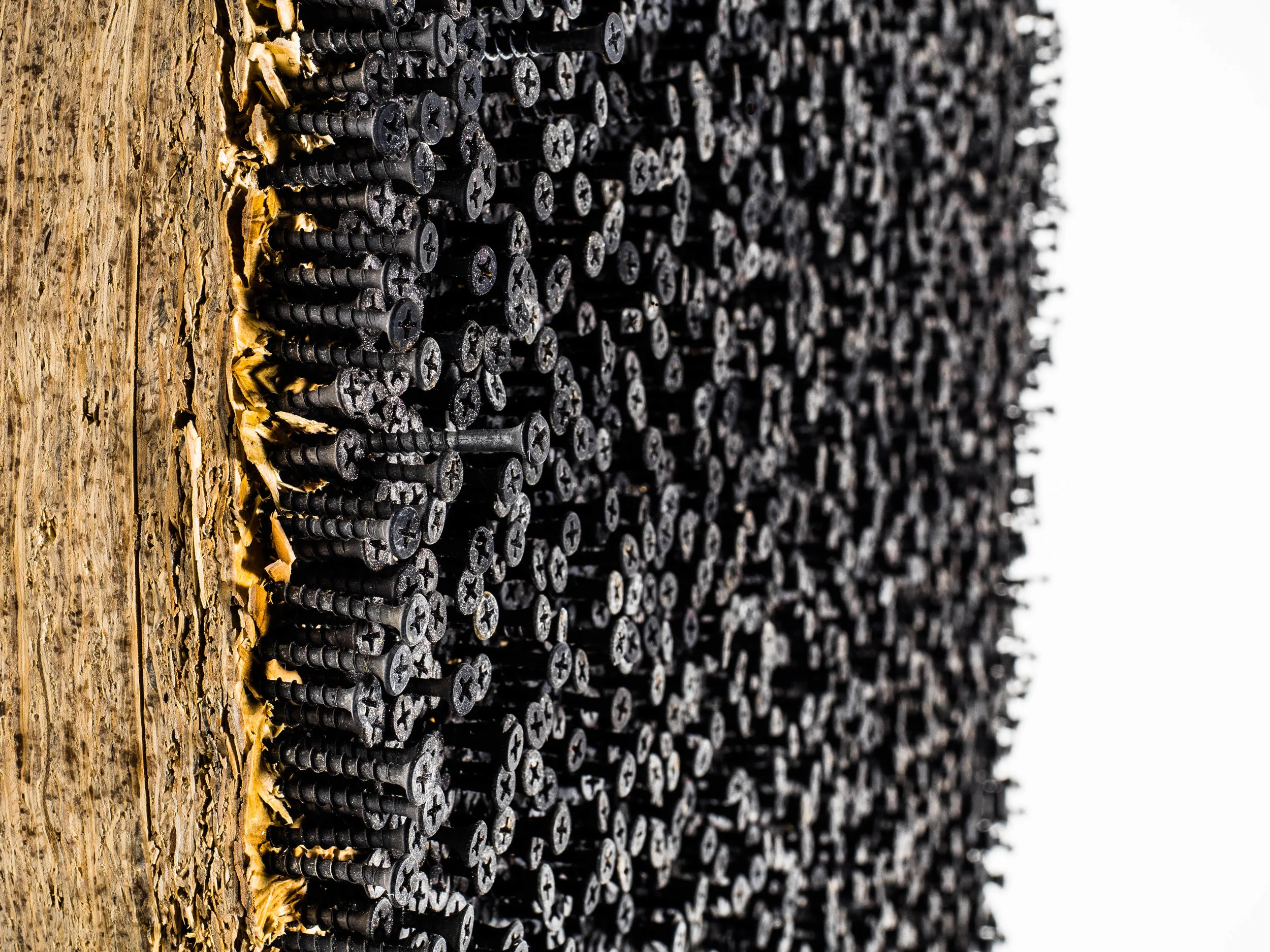 Black Close up.jpg
