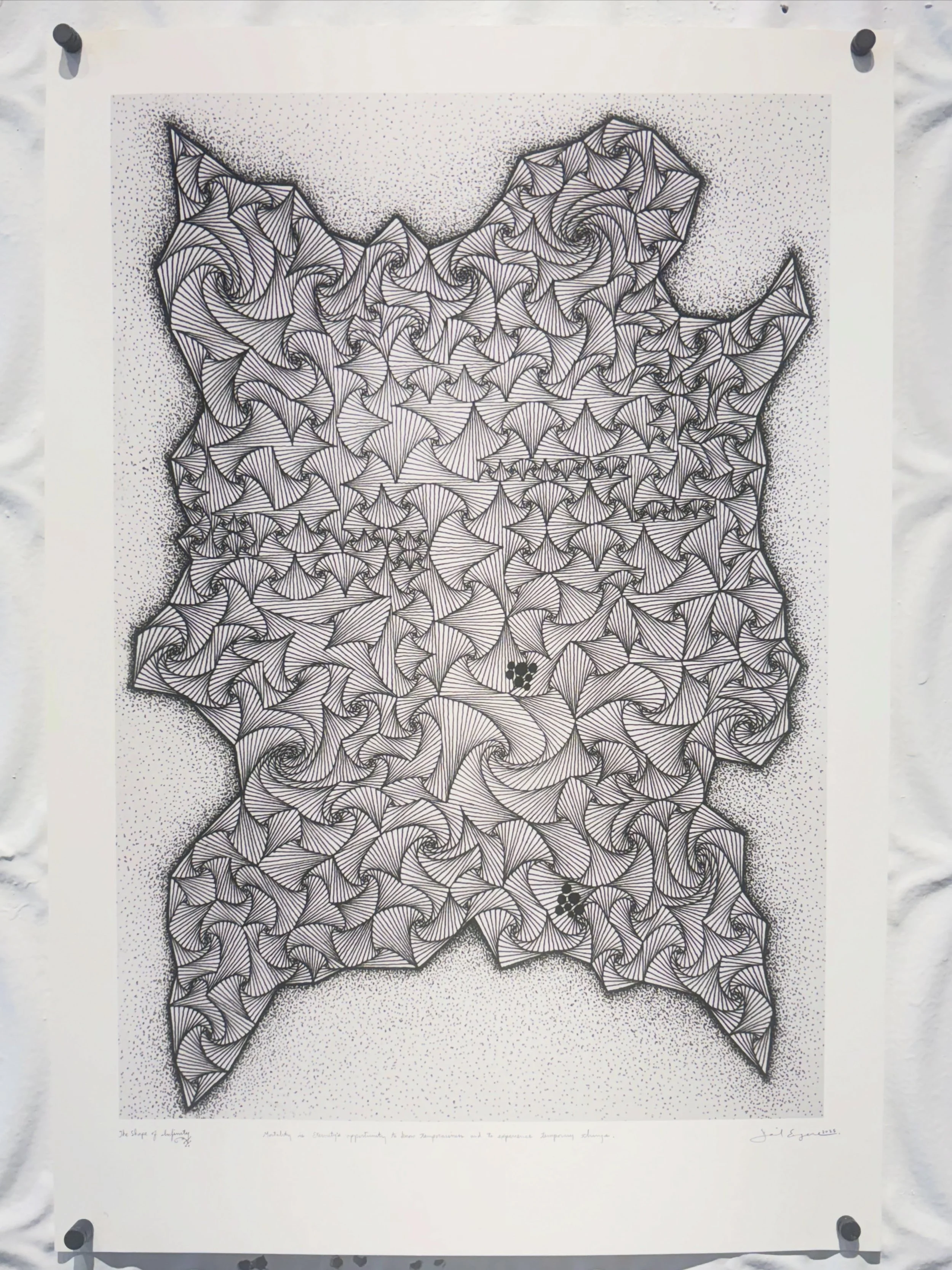 We are posting this beautiful print by Daniel Eugene Kaninski because it was somehow not included in the catalog of the ROS  Kickoff show @lorimotogallery. 
&ldquo;The Shape of Infinity&rdquo; 2025 
Non-editioned  print of hand drawn line work 
$150 