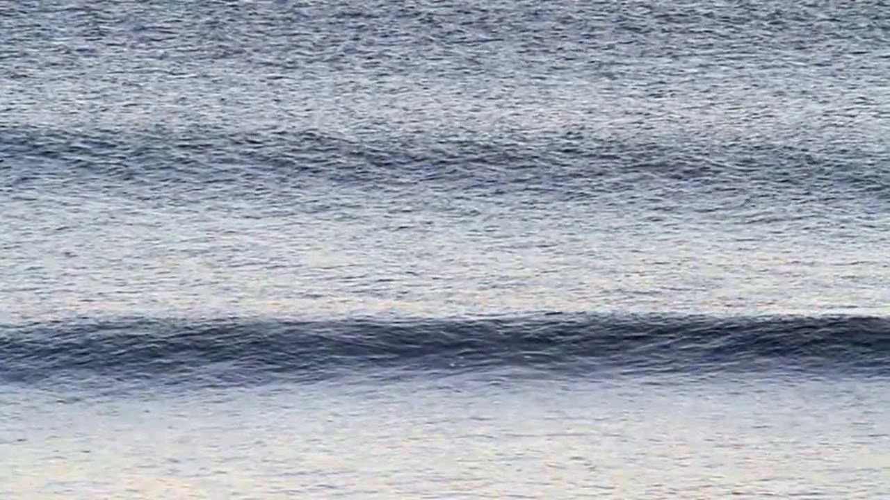  If Only Surf Shop: Cobblestoned    