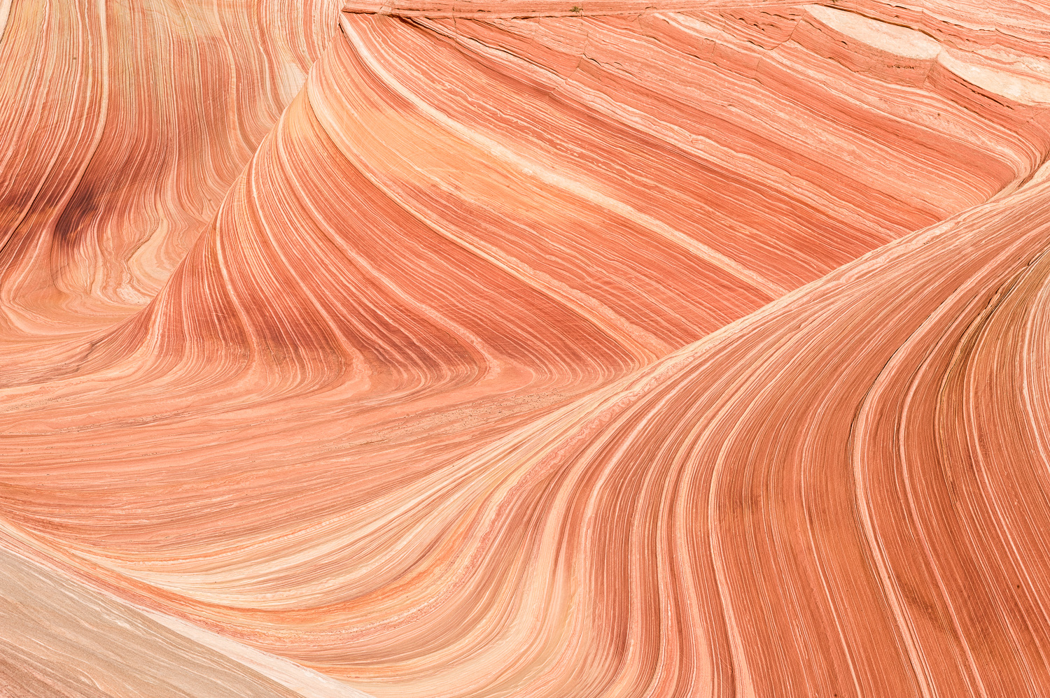 South Coyote Buttes, UT