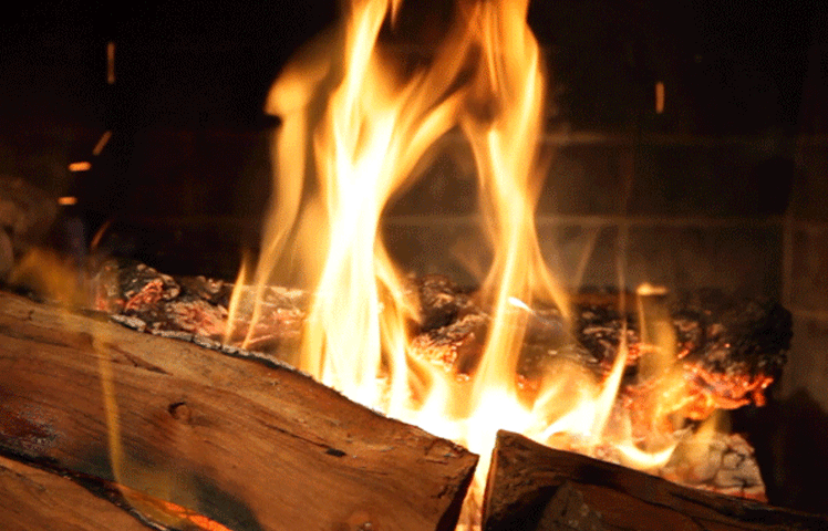 Netflix_fireplace_748x480.gif