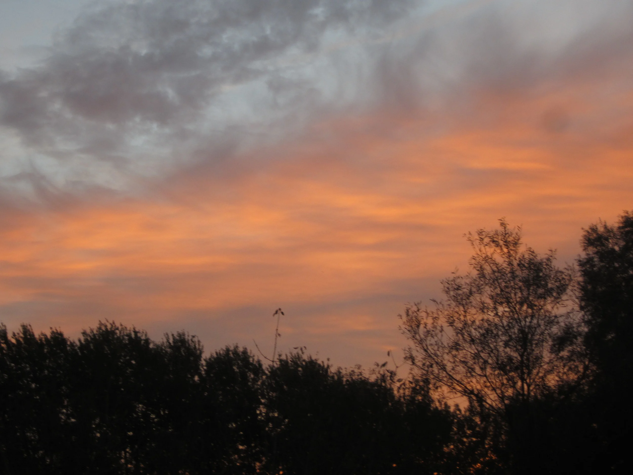 End of a Perfect Day