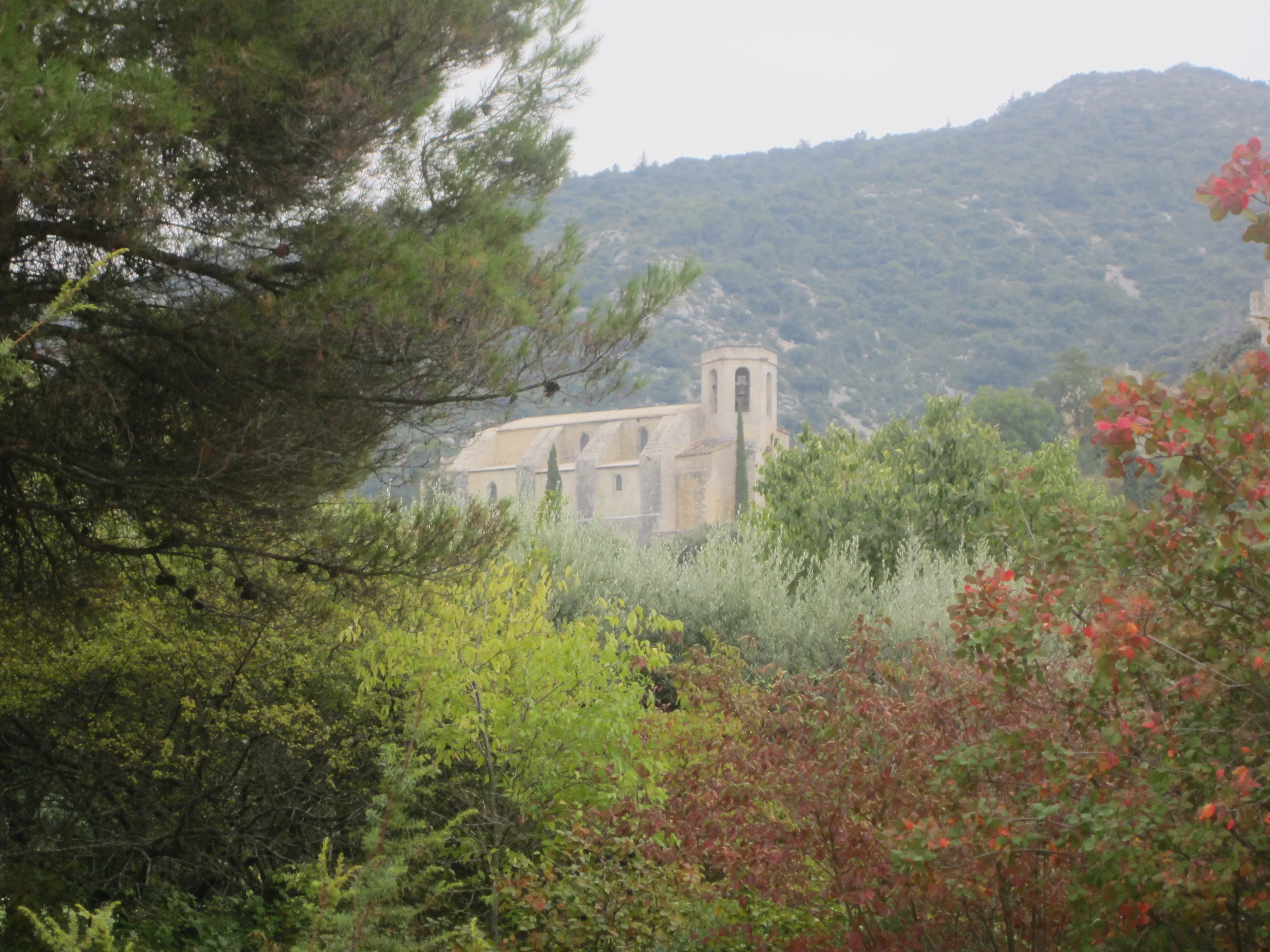 OPPÈDE LE VIEUX (6).JPG