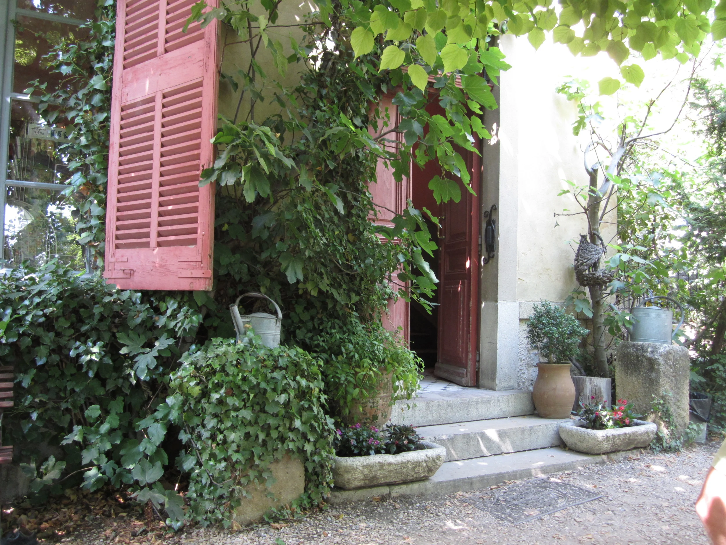 CÉZANNE (2).JPG