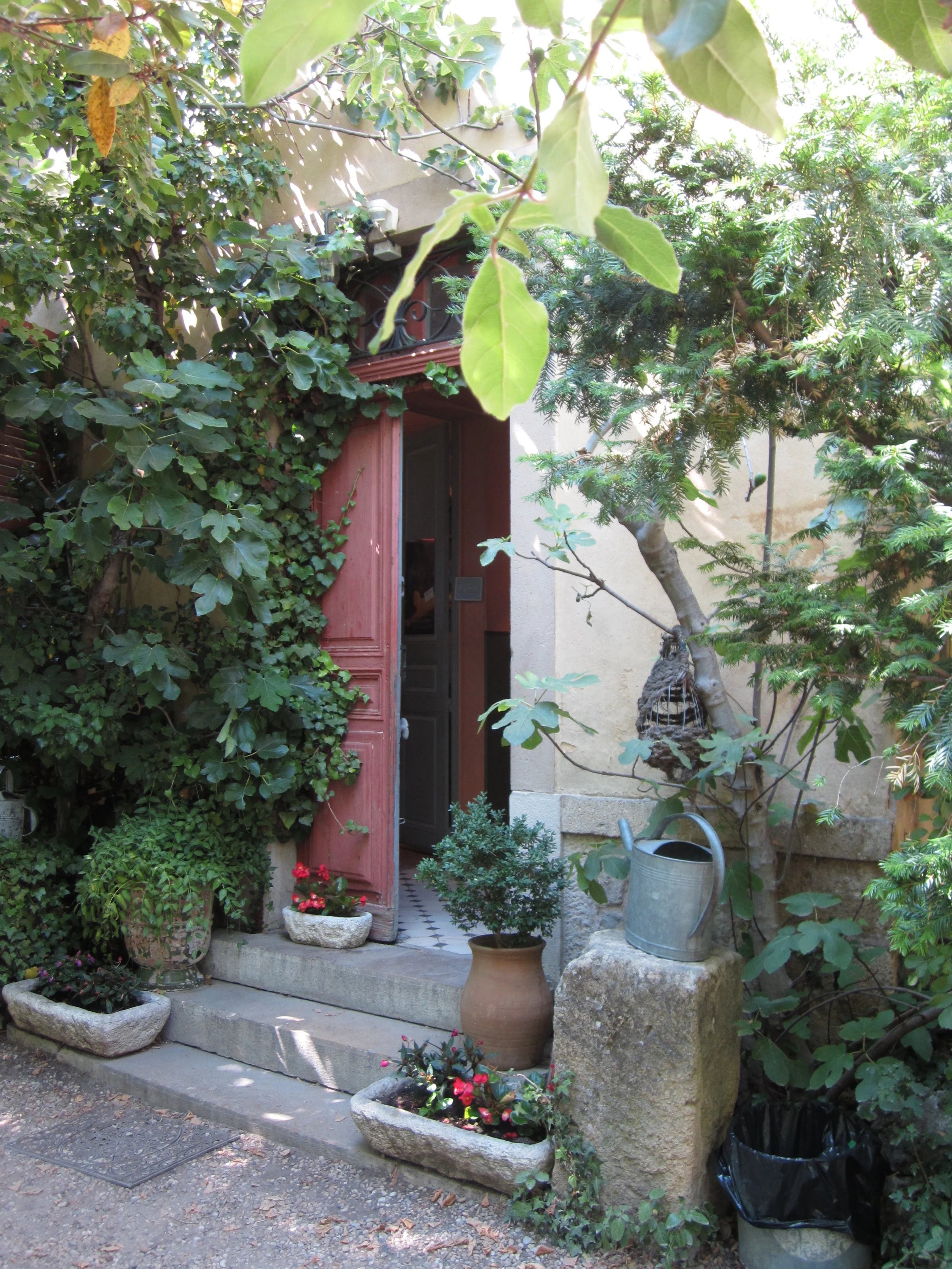 CÉZANNE (3).JPG
