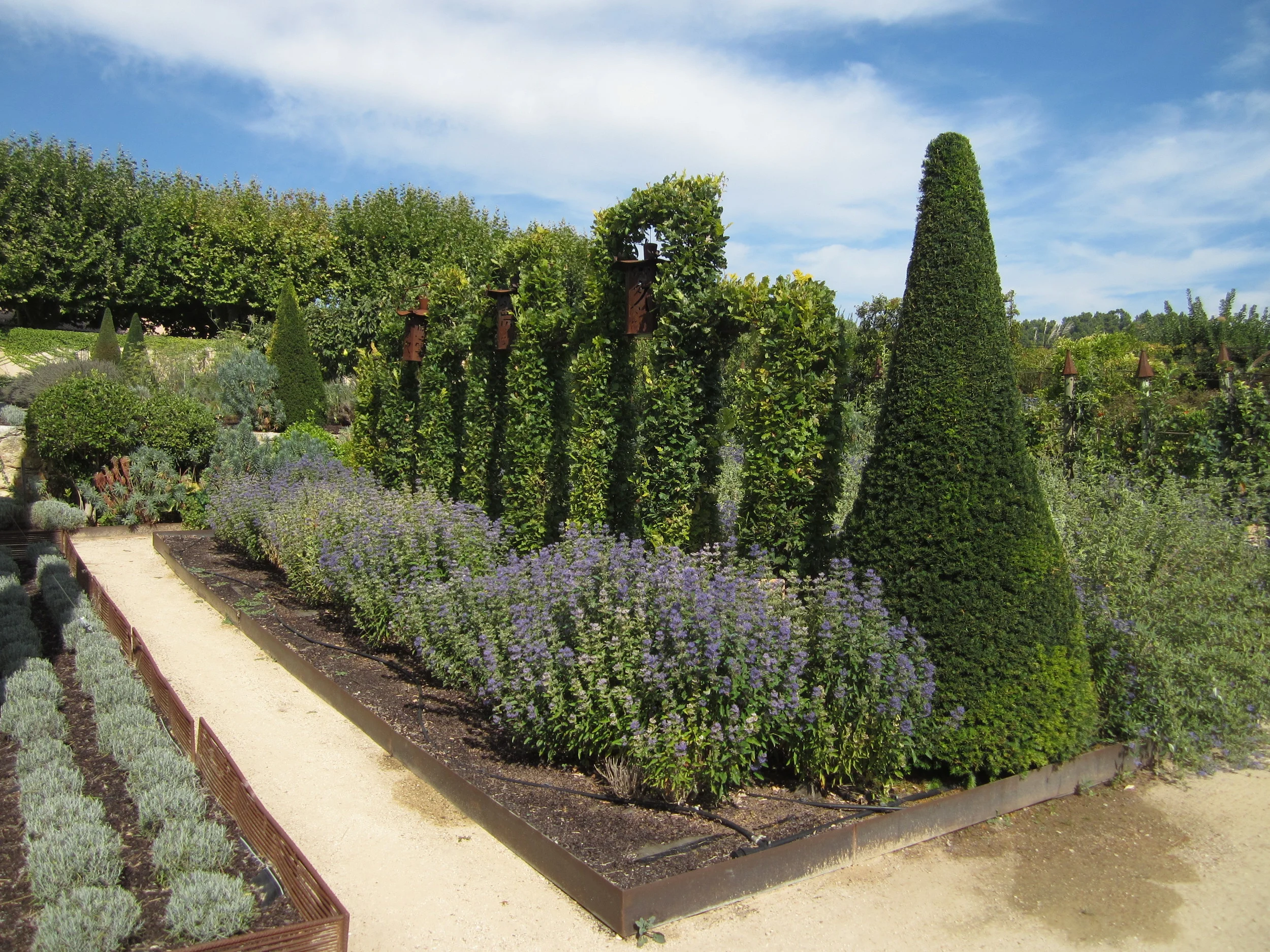 GARDEN (11).JPG