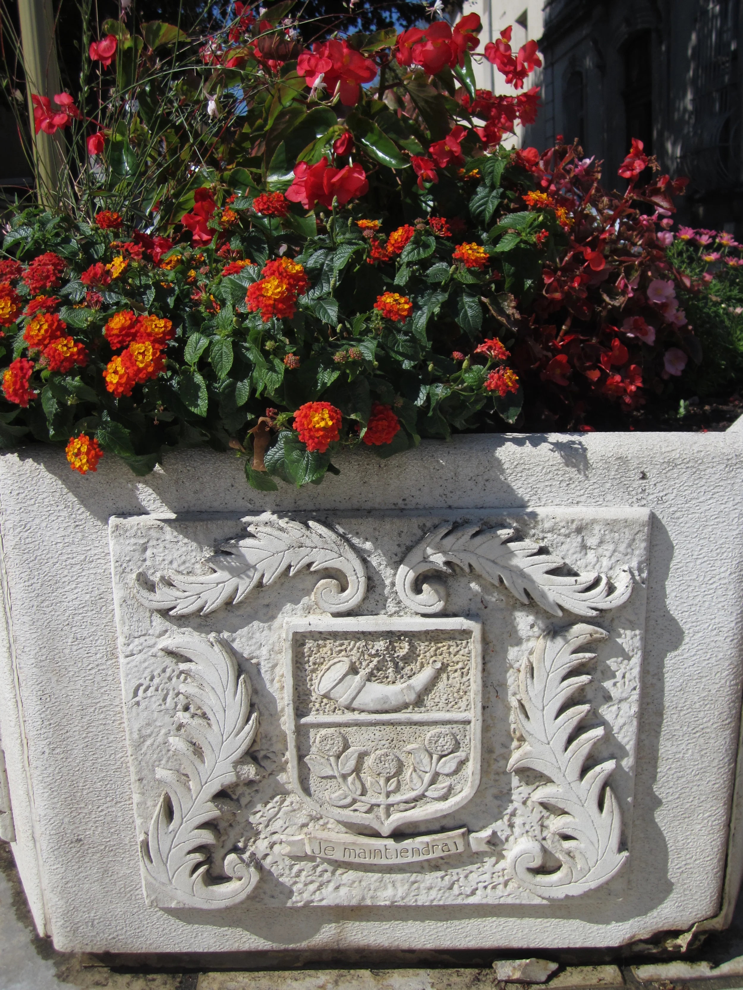 GARDEN (16).JPG