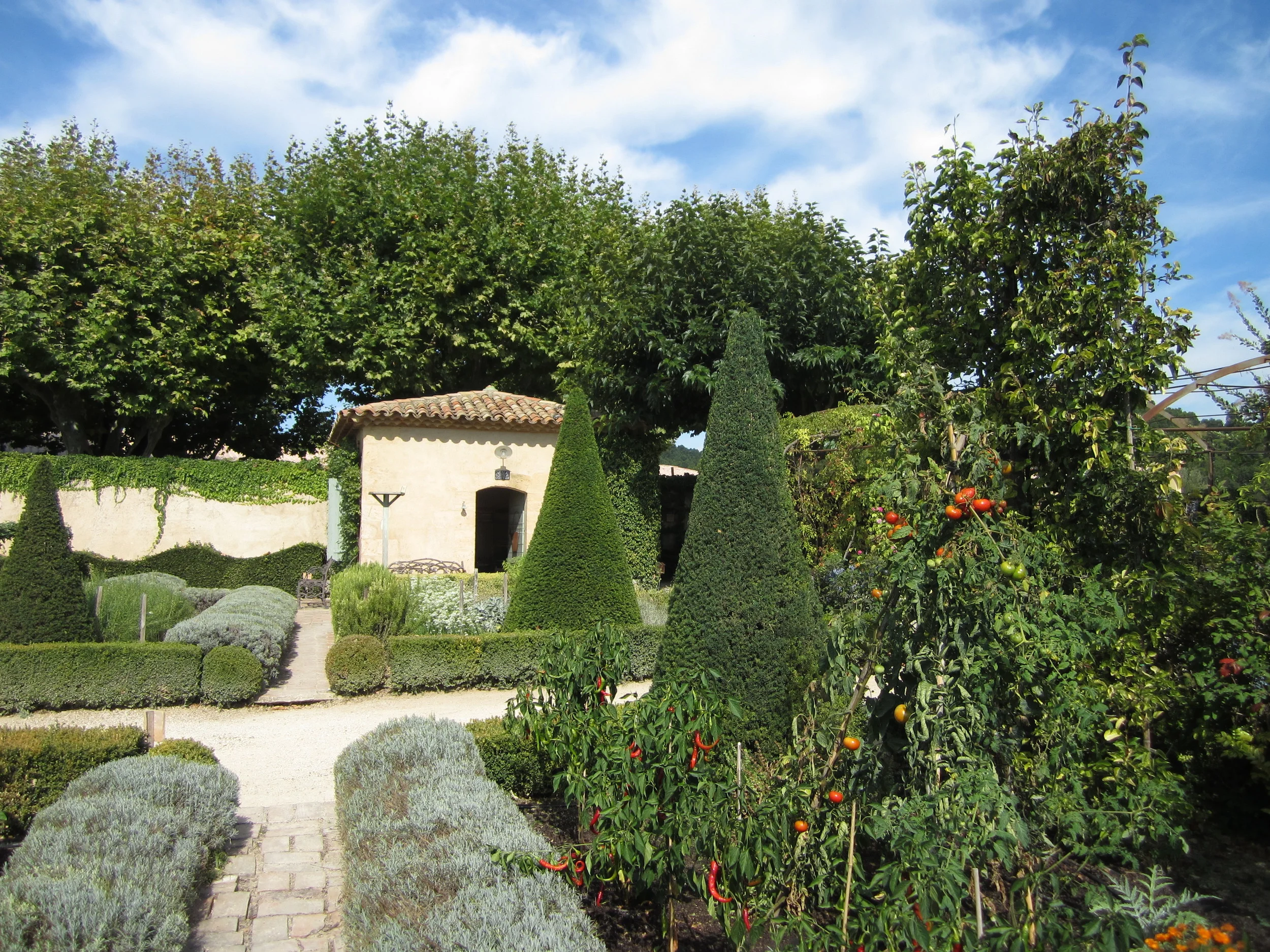 GARDEN (21).JPG
