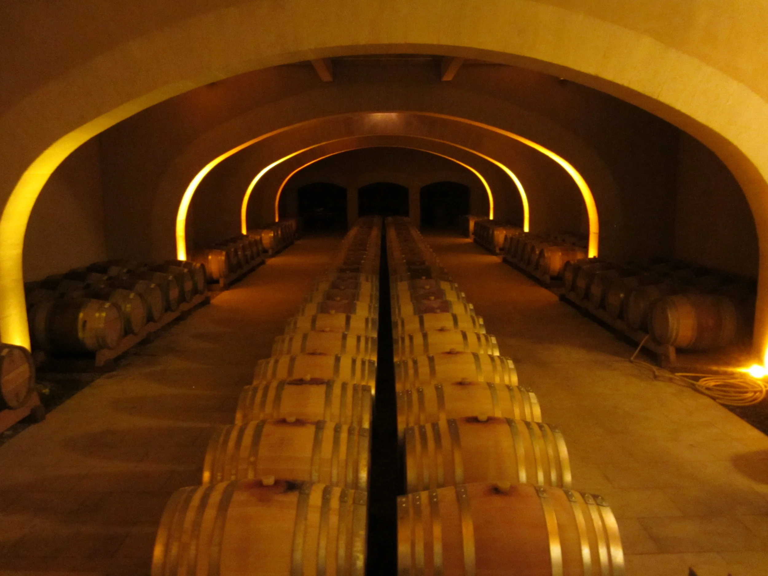 VINEYARD & CAVE (8).JPG