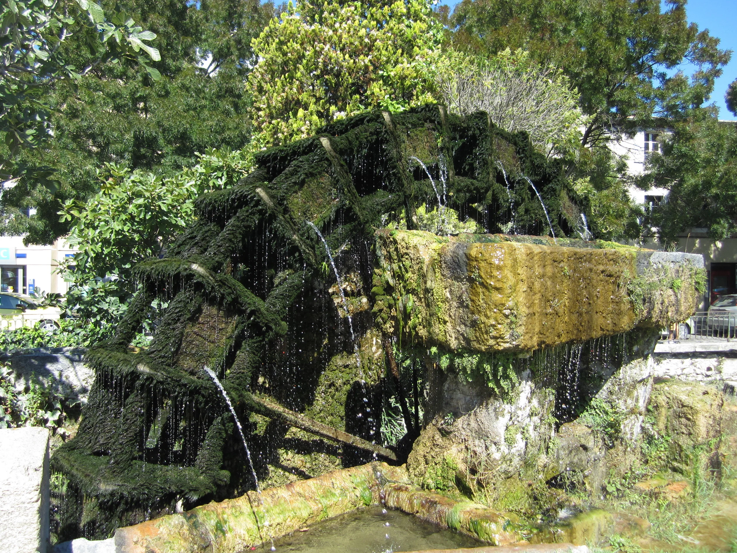 WATER WHEEL (6).JPG
