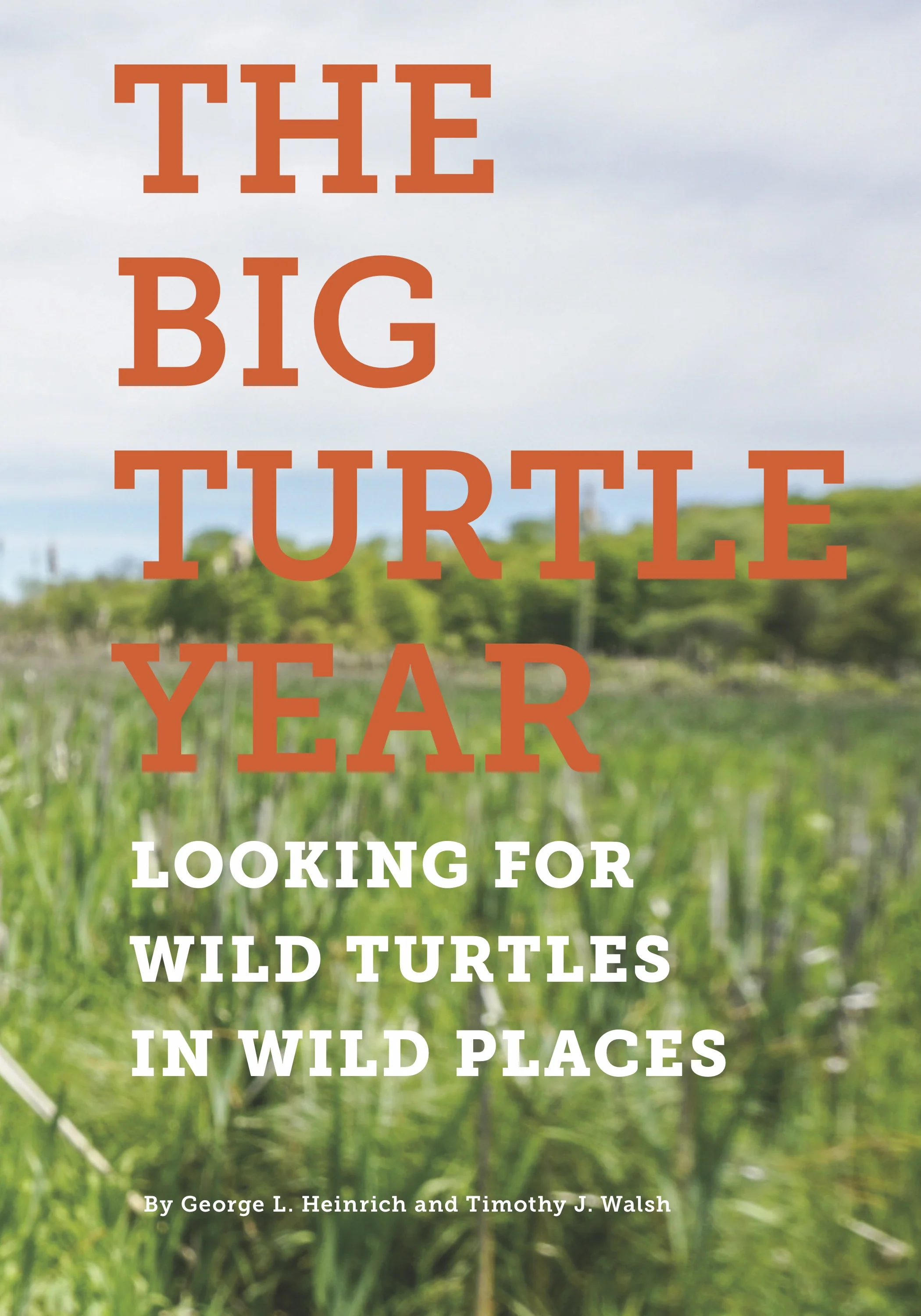 Blog — Florida Turtle Conservation Trust