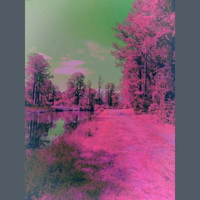 pink.jpg