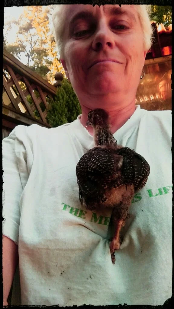 Turkey and Me