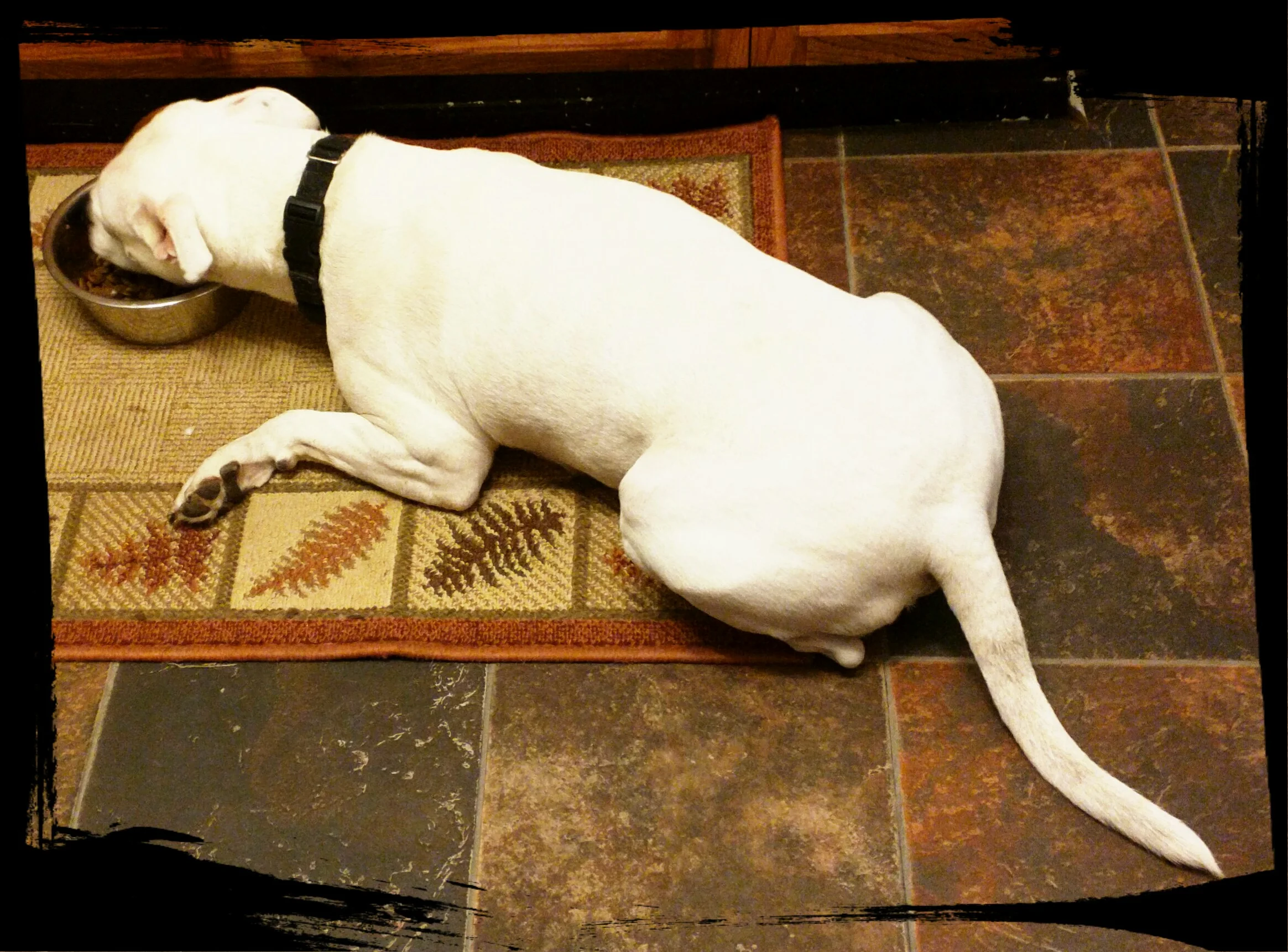 Sensitive Bentley.