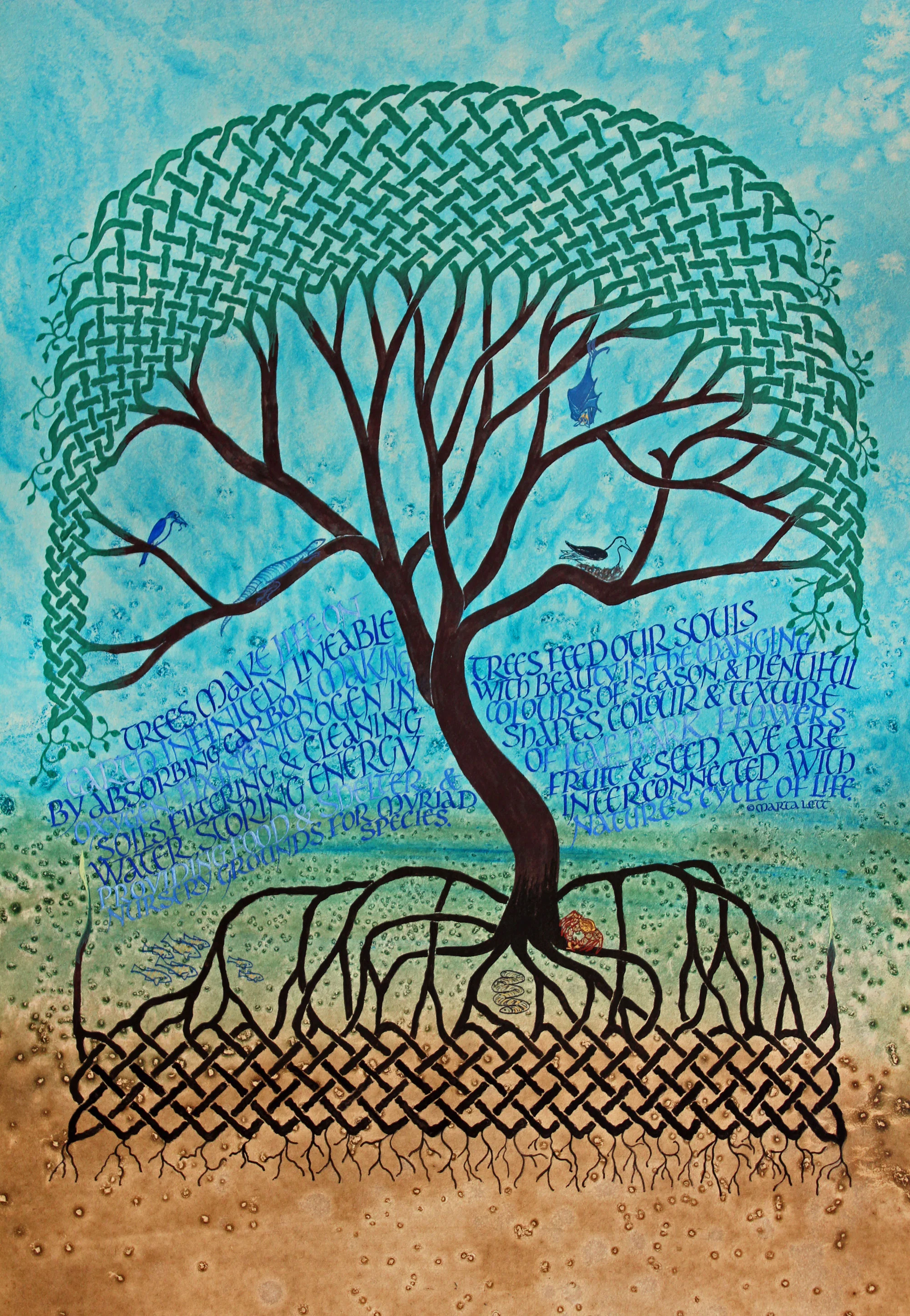 Tree of Life - Mangrove