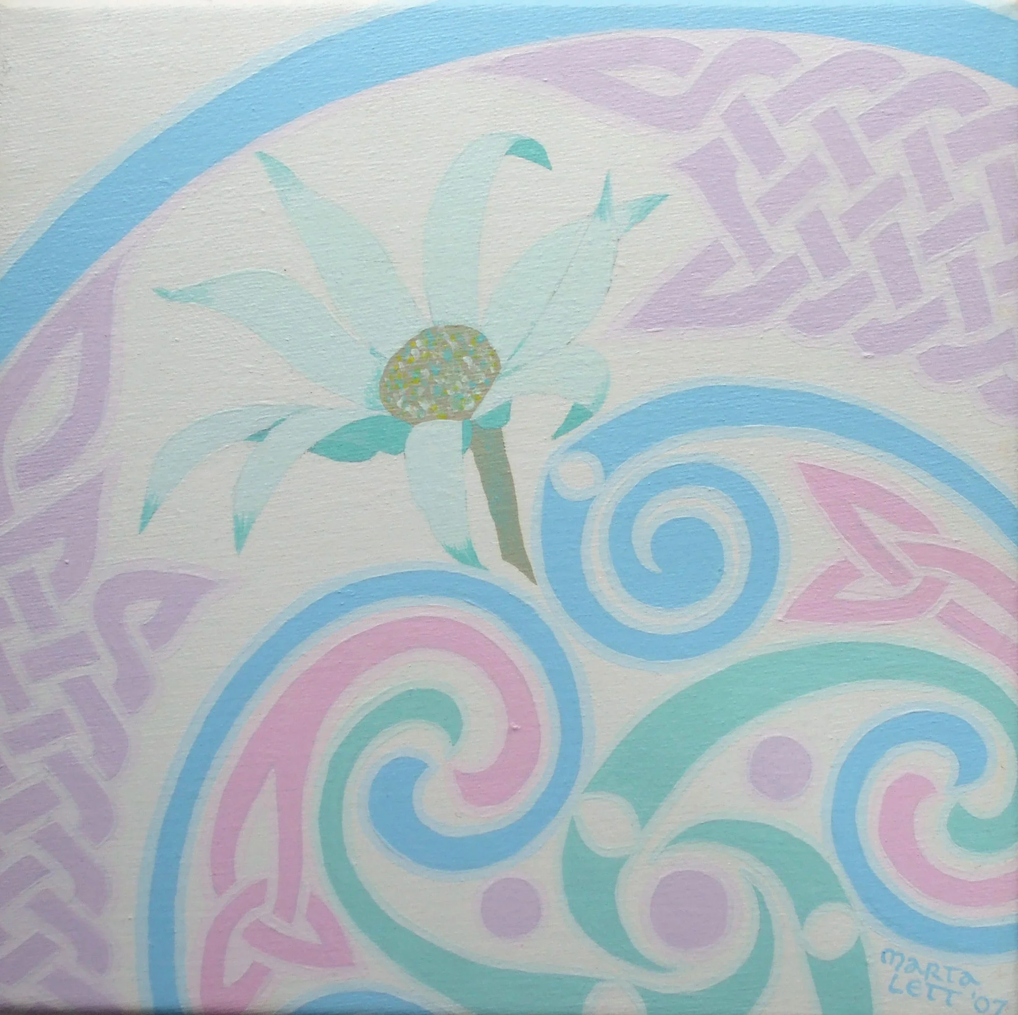 Flannel Flower, detail
