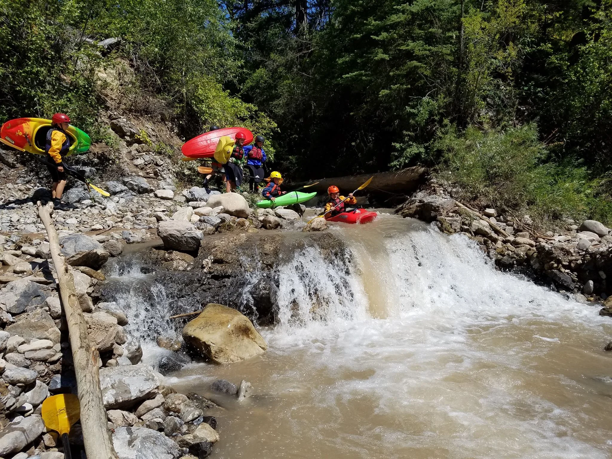 Beavers — Jackson Hole Kayak Club