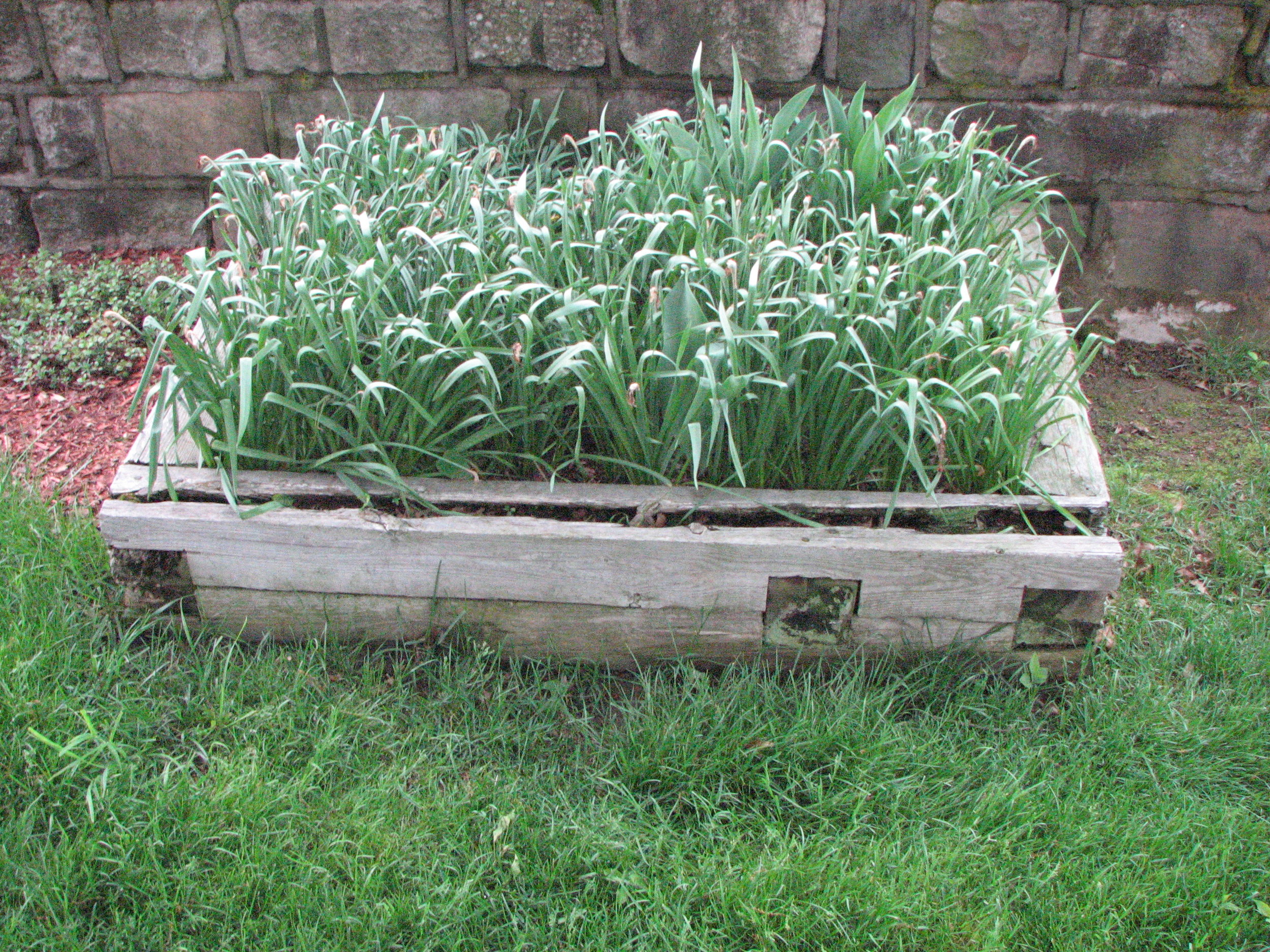 timber bed before.JPG