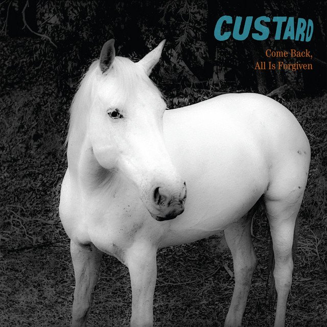 Custard - Come Back All Is Forgiven: MASTERED