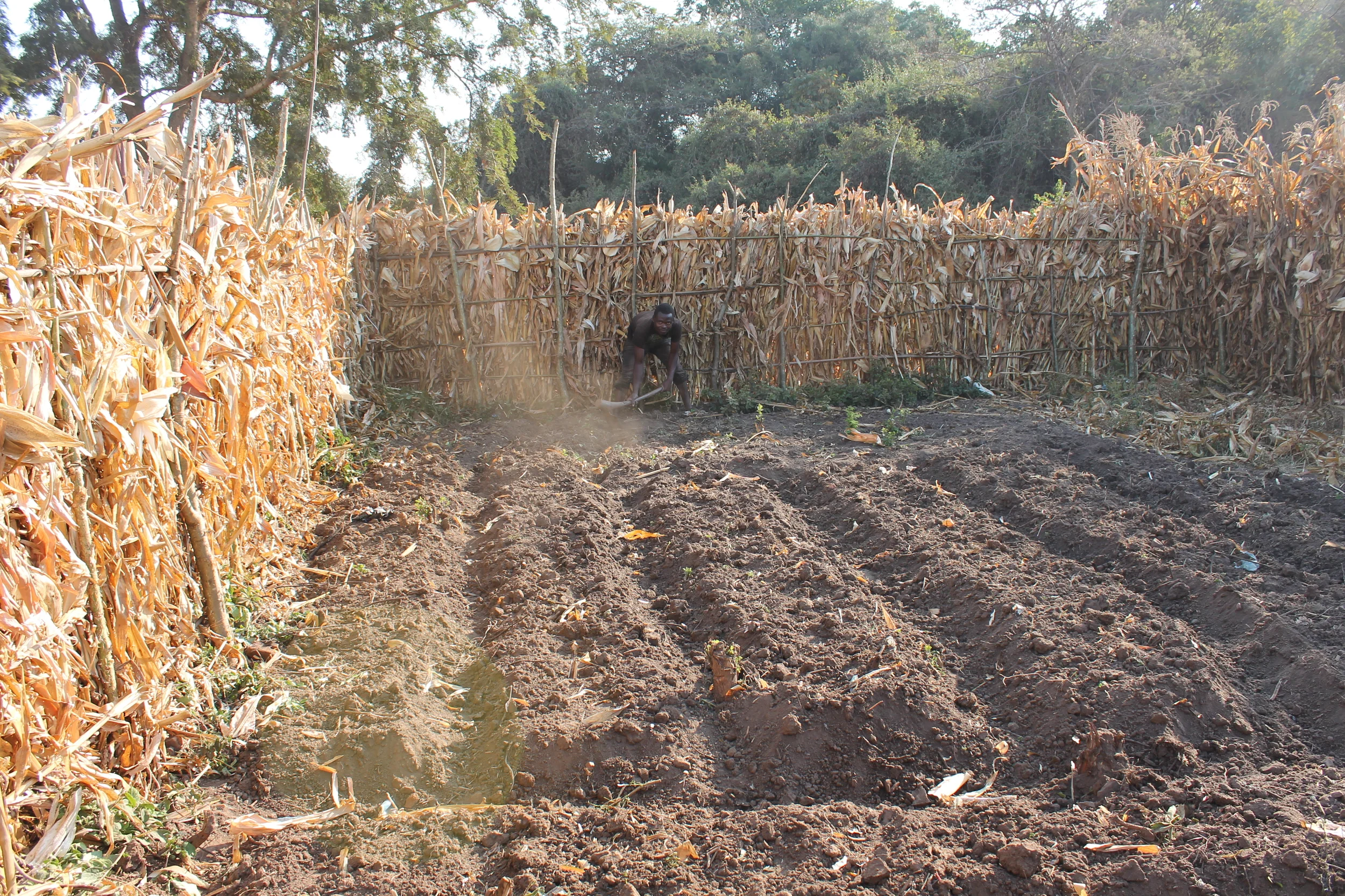 Dothi Village children's garden
