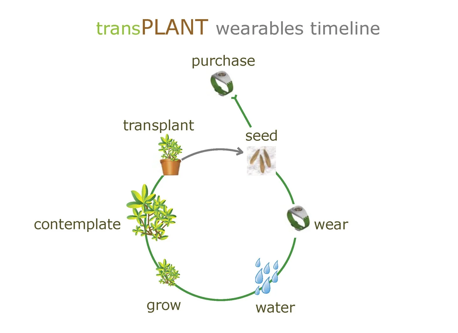 transPLANT081705_Page_13.jpg