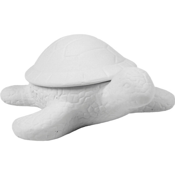 bi1228+turtle+box.jpg