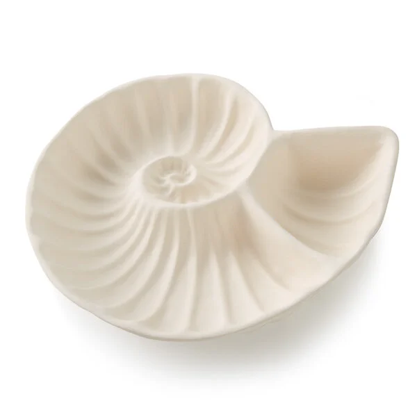 Paint Your Own Nautilus Chip and Dip Platter