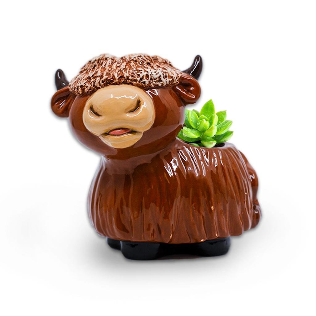 Paint Your Own Highland Cow Planter  The Pottery Piazza