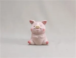 Paint Your Own Cute Pig Box