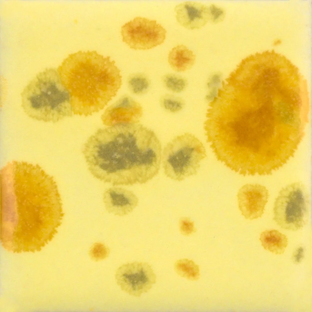 CG-1012 Haystack 4 oz. Jar | Jungle Gem / Crystalite Glaze