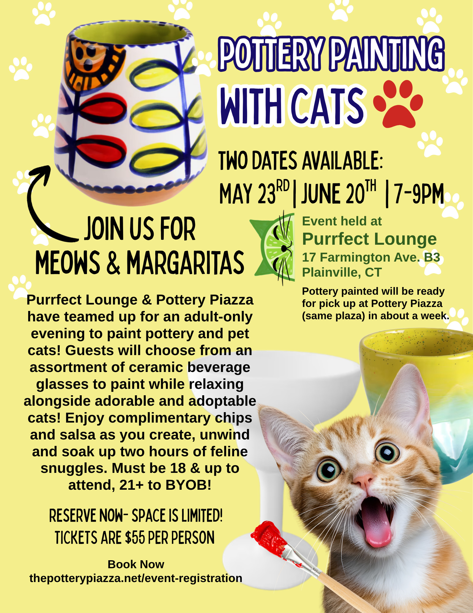 Purrfect Lounge x Pottery Piazza Events (1).png