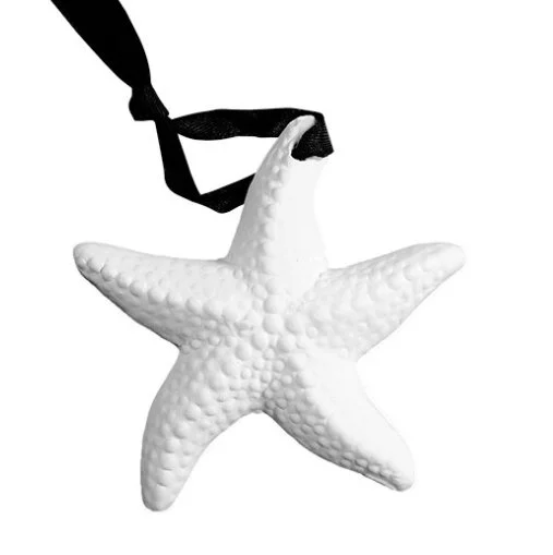 Starfish Ornament.jpeg