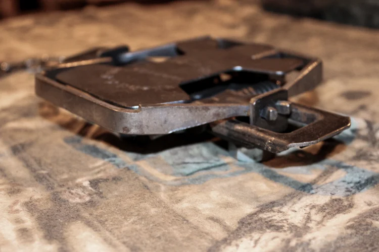 Bridger #2 Dogless — Expand-A-Pan