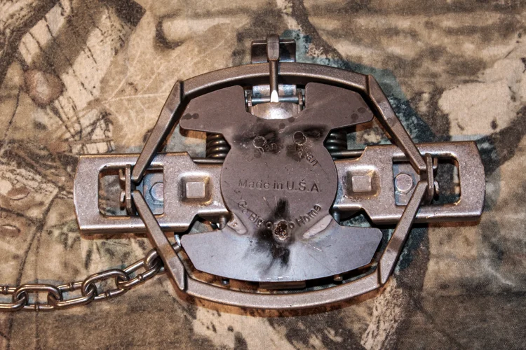 MB 550 — ExpandAPan