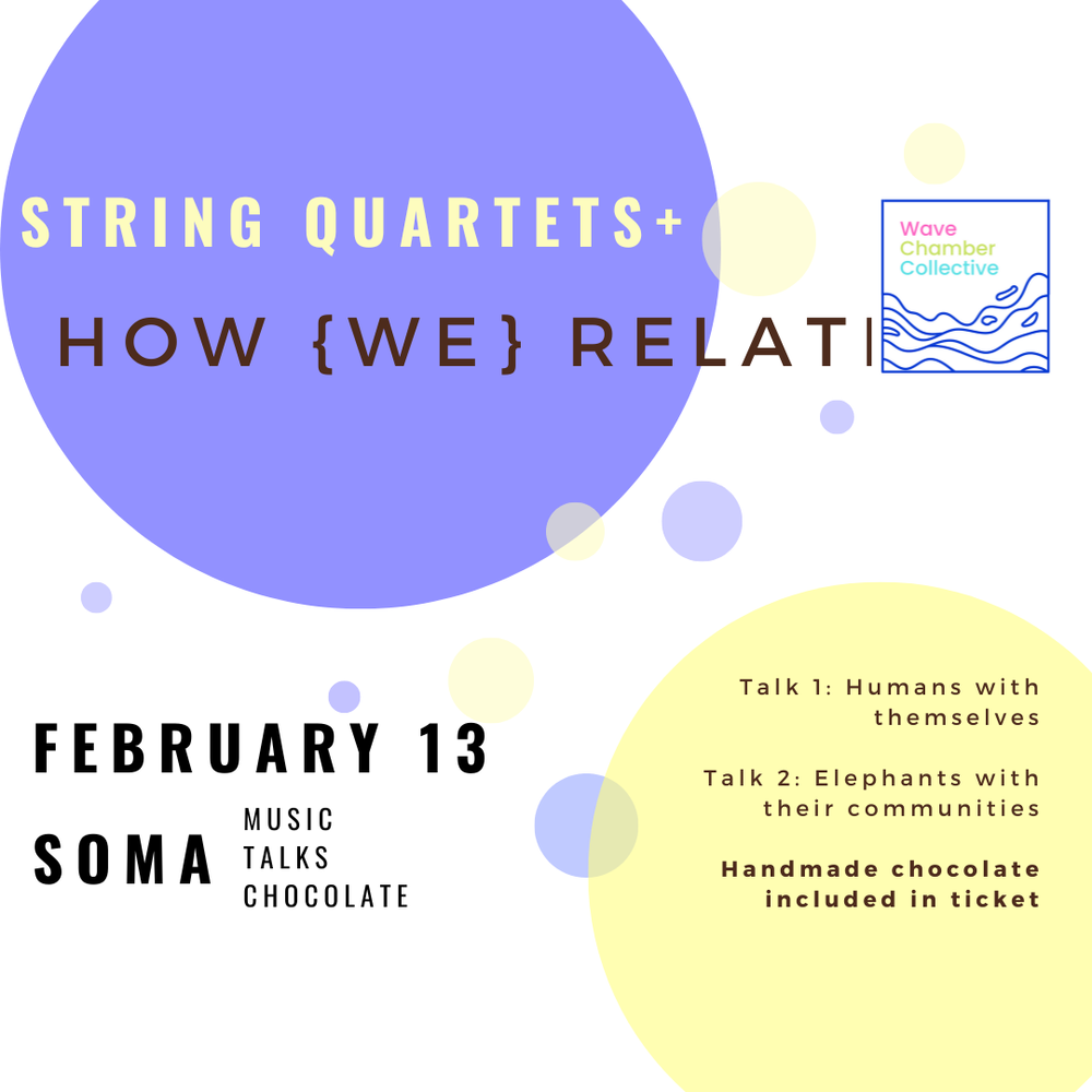 Wave Chamber Collective — Strings and Science