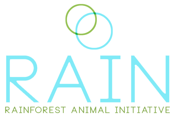 rain logo.png