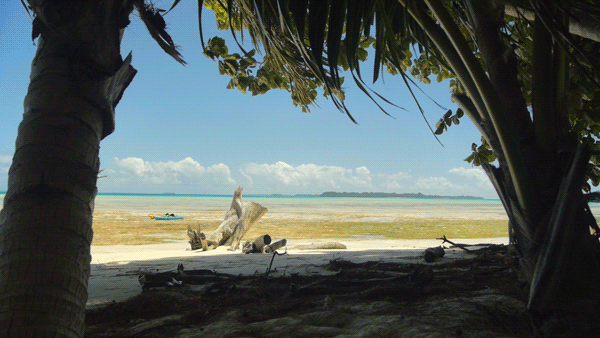 An isolated island in Palau, Micronesia.
